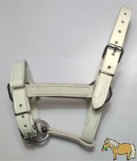 Fohlenhalfter 